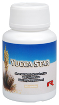 YUCCA STAR na detoxikaci organismu