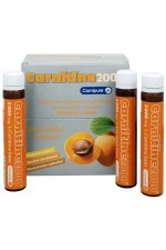 Carnitine 2000 proti obezit