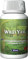 Wild yam proti osteoporze