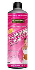 L-CARNITIN + HCA THERMO PRO SPORTOVCE